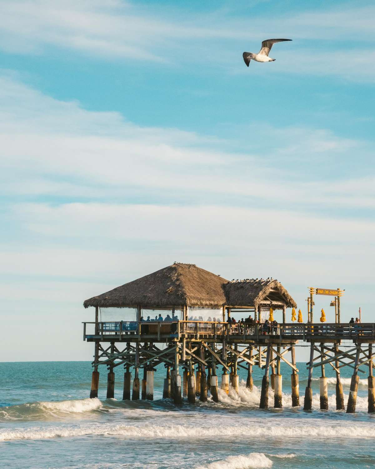 BusBrother Beach Shuttle Service - Cocoa Beach Pier Florida Group Transportation
